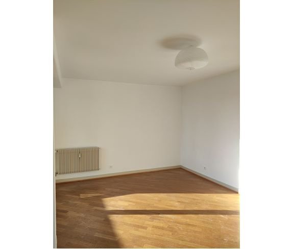 Appartement à louer, 92m², Colmar