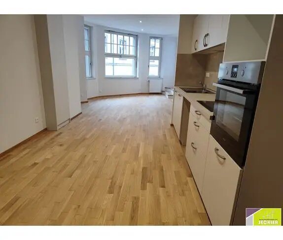 Appartement à louer, 150m², Colmar