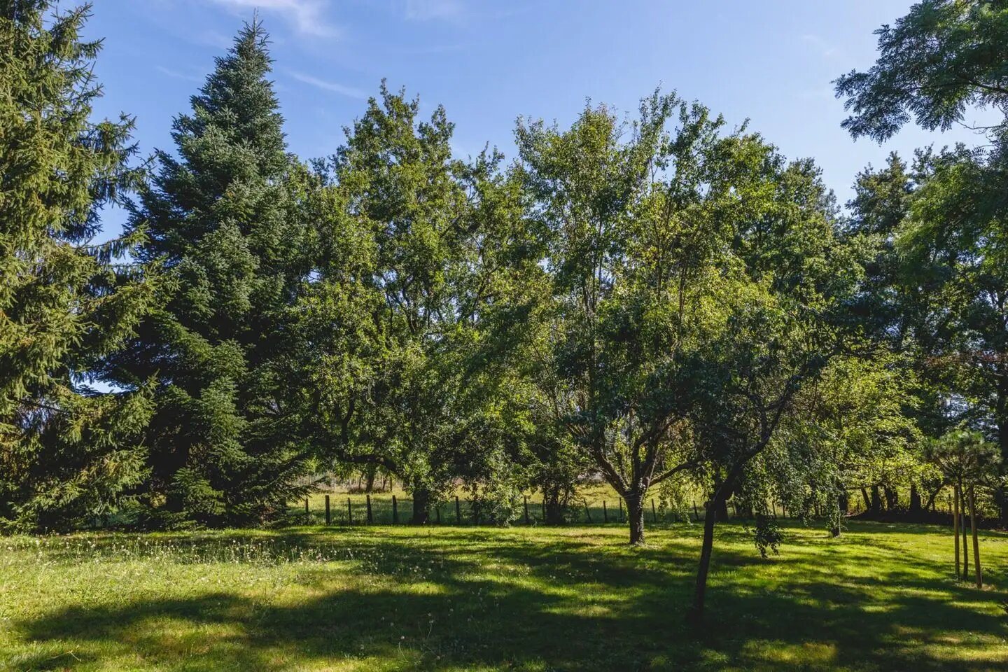 Maison à vendre, 207m², Montmerle-sur-Saône