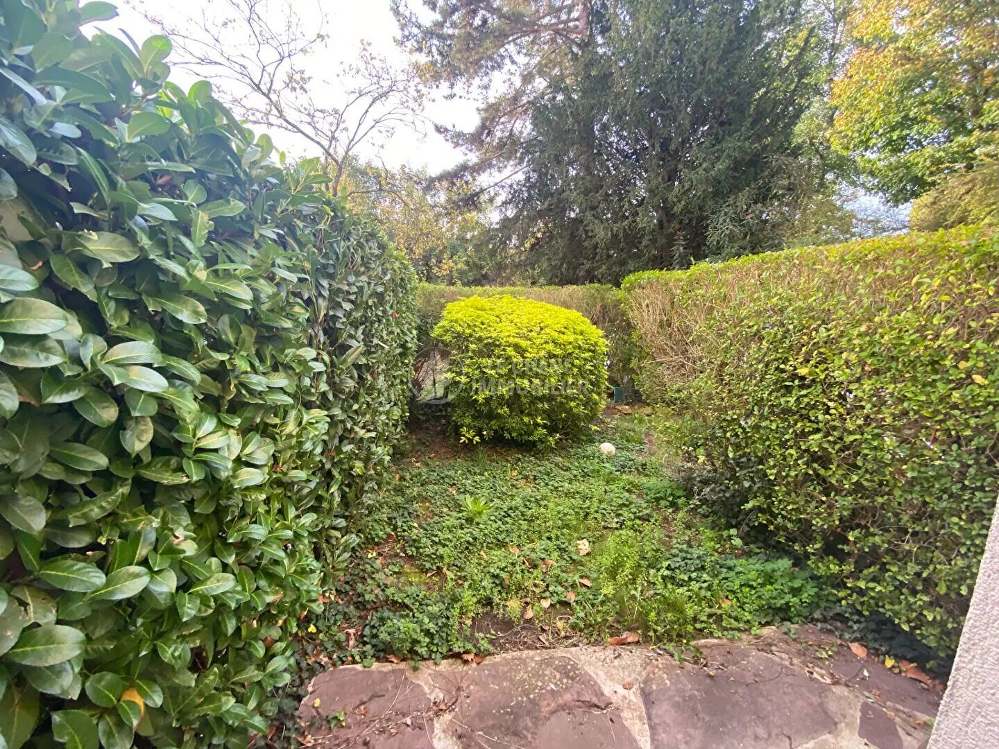 Appartement à louer, 19m², Versailles