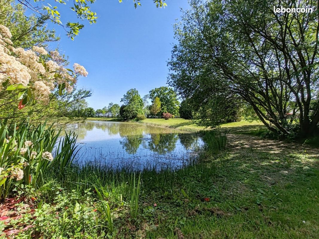 Maison à vendre, 351m², Martigné-Ferchaud