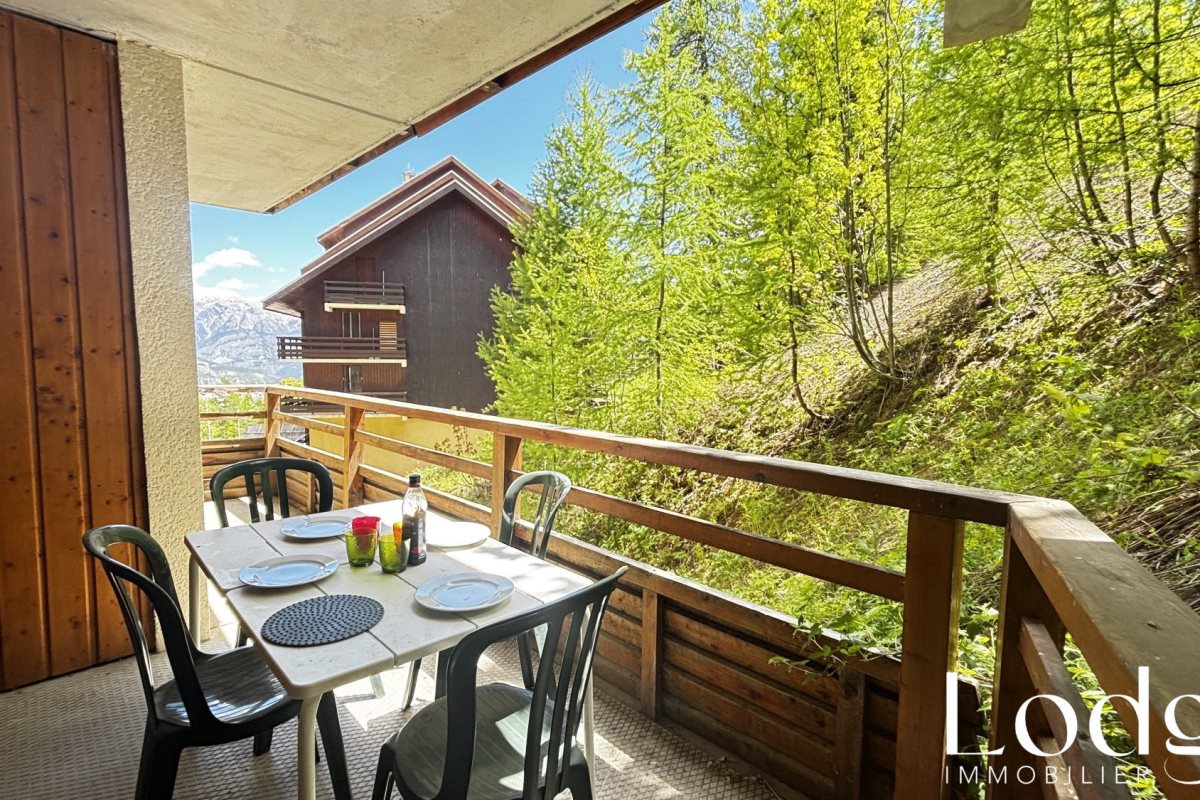 Appartement à vendre, 27m², Puy-Saint-Vincent