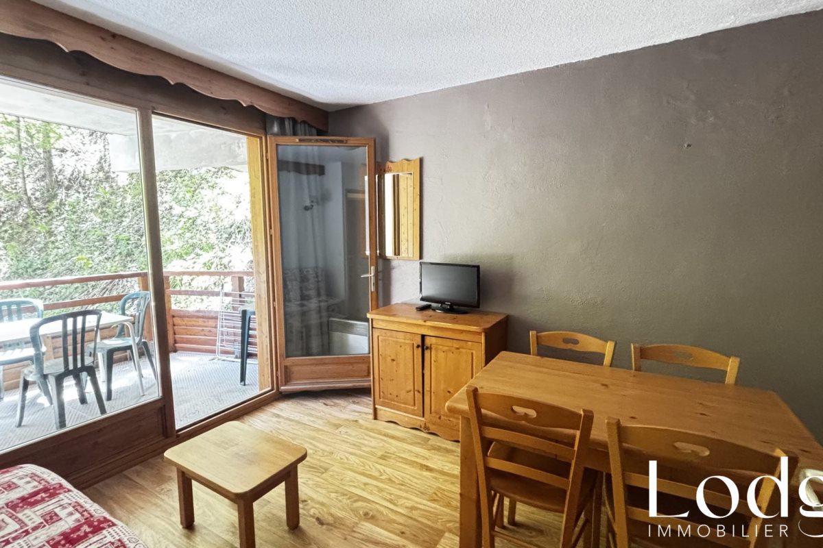 Appartement à vendre, 27m², Puy-Saint-Vincent
