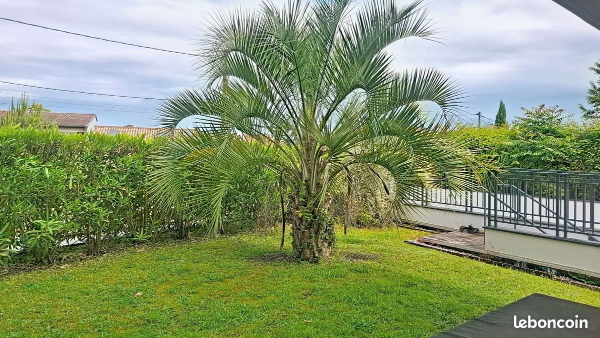 Appartement à vendre, 56m², Bordeaux
