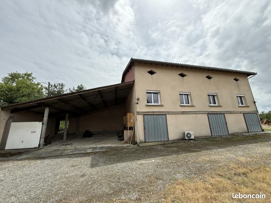 Maison à louer, 129m², Gaillac-Toulza