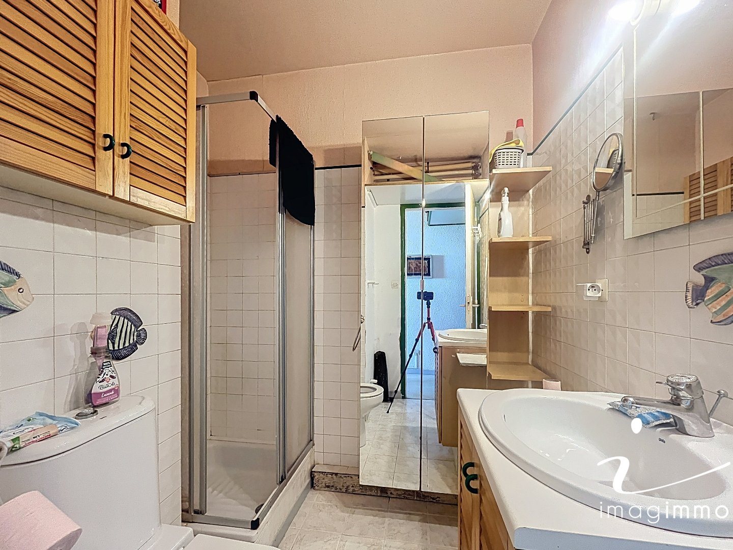 Appartement à vendre, 25m², Mauguio