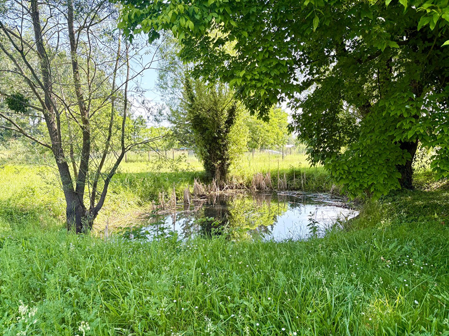 Maison à vendre, 142m², Saint-Georges-sur-Cher