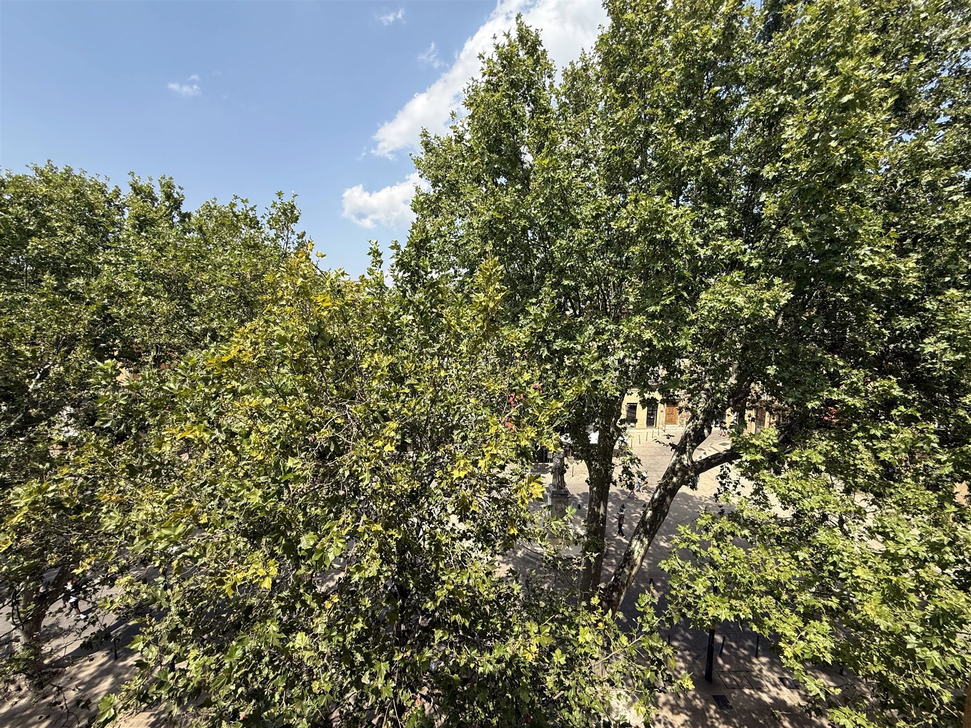 Appartement à louer, 26m², Aix-en-Provence