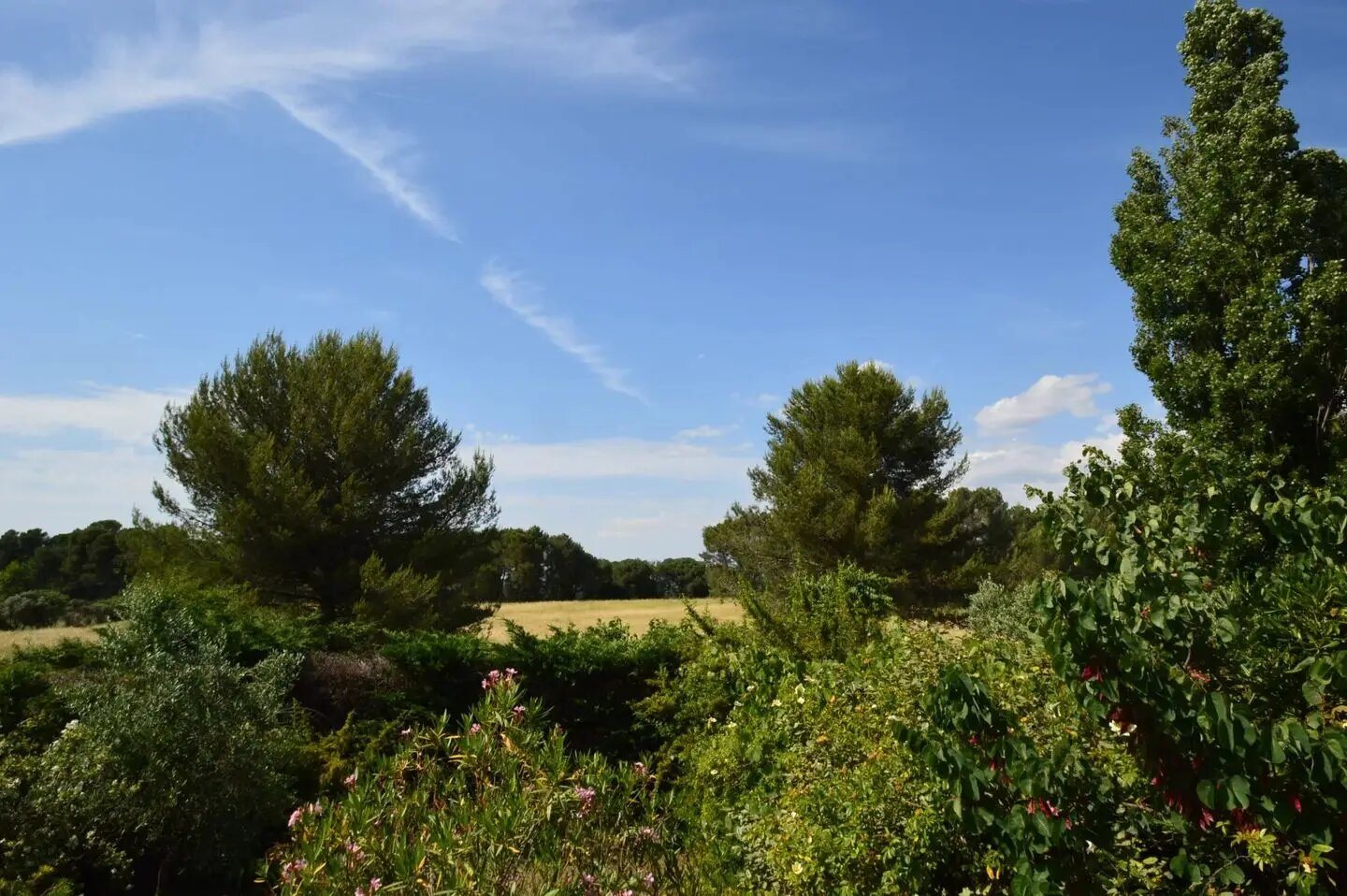 Maison à vendre, 46m², Aix-en-Provence