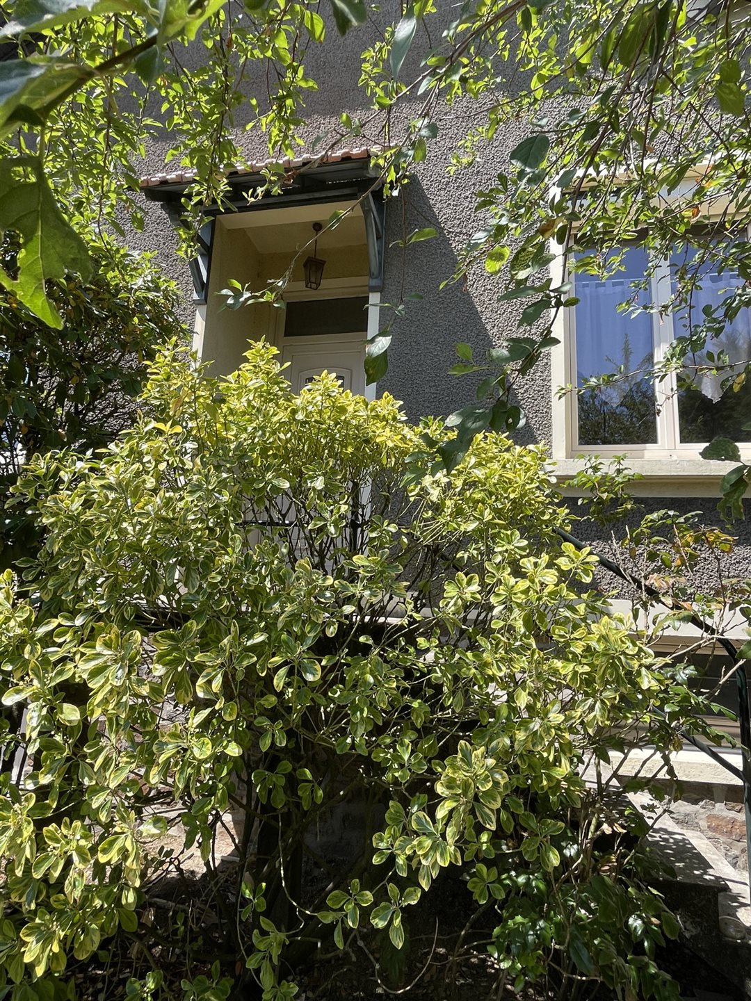 Maison à vendre, 157m², Ancenis-Saint-Géréon