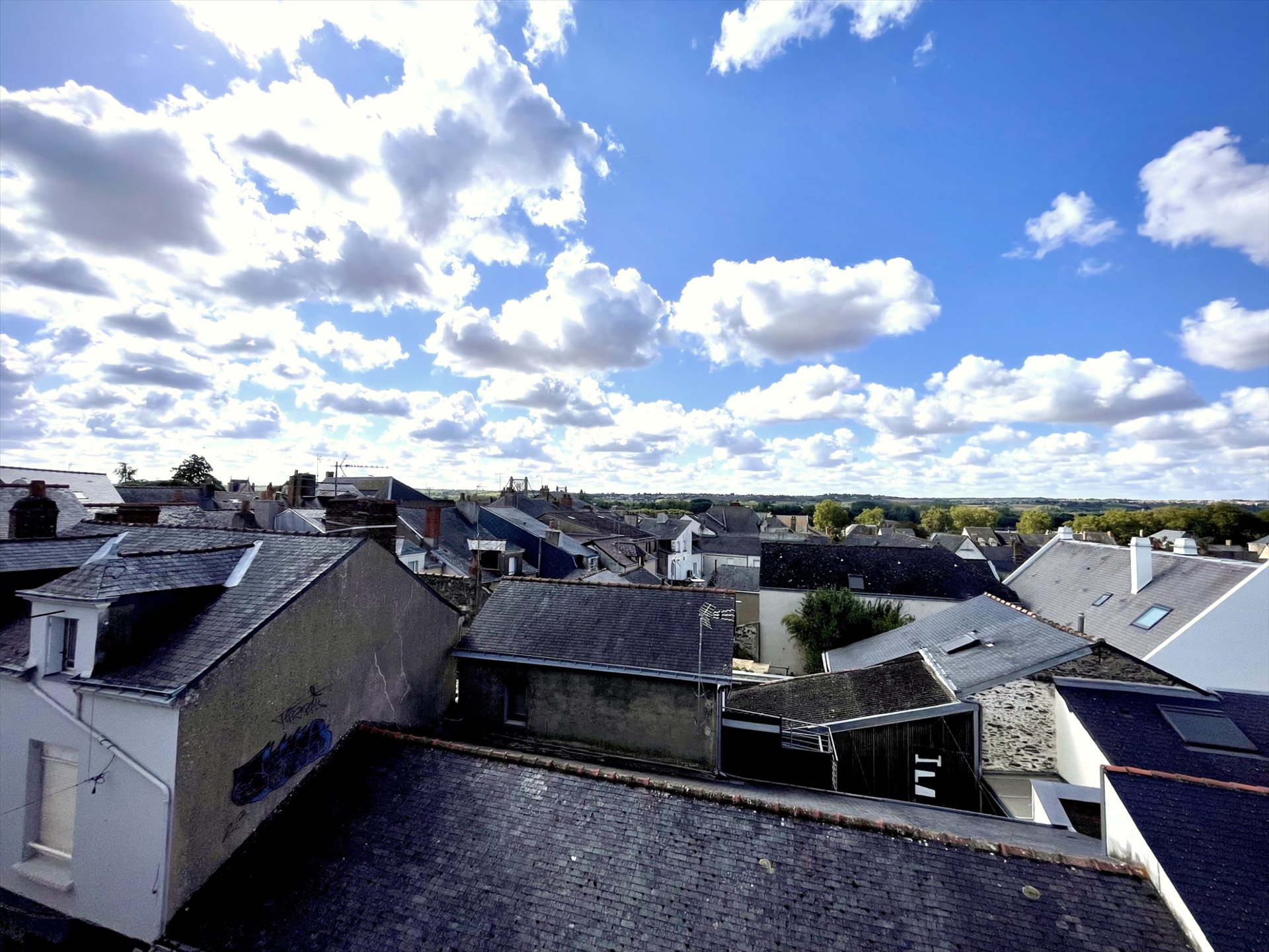Appartement à vendre, 26m², Ancenis-Saint-Géréon