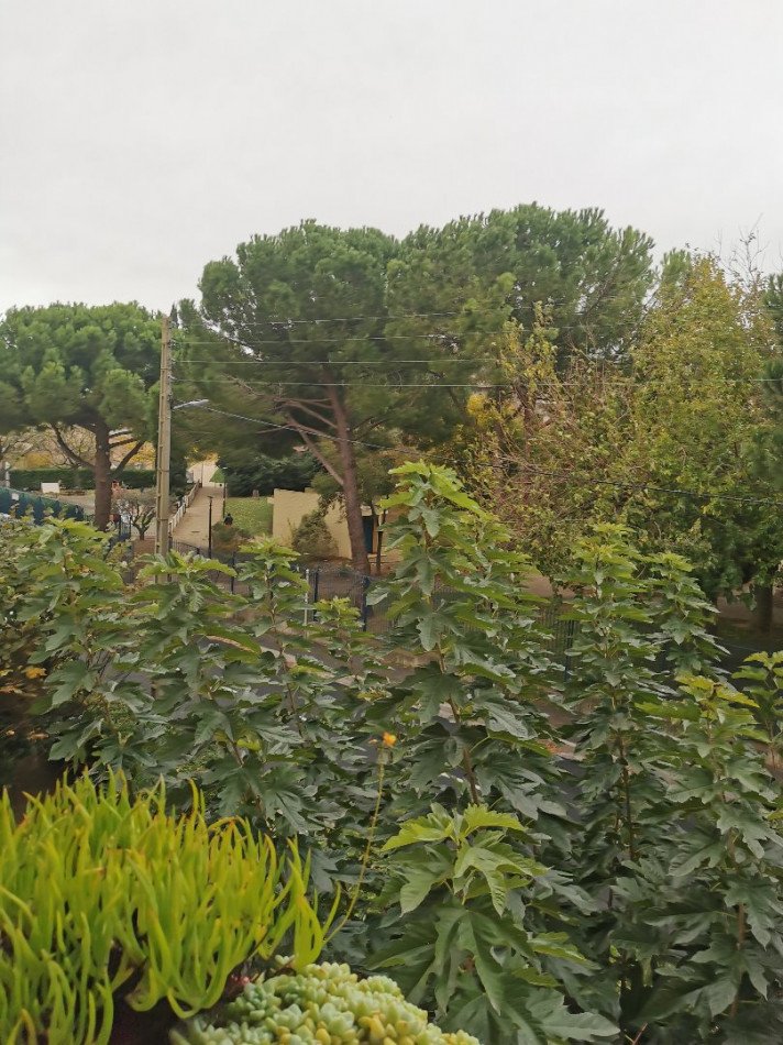 Maison à vendre, 77m², Béziers