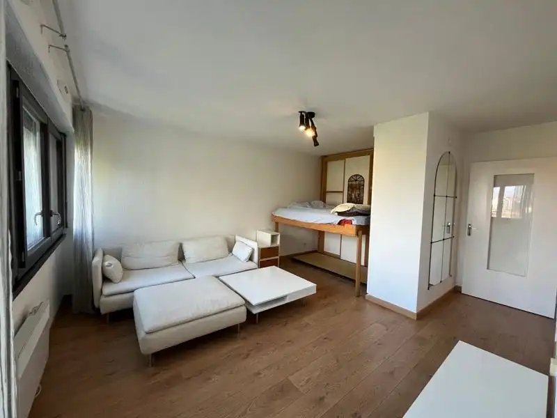 Appartement à louer, 39m², Villeurbanne