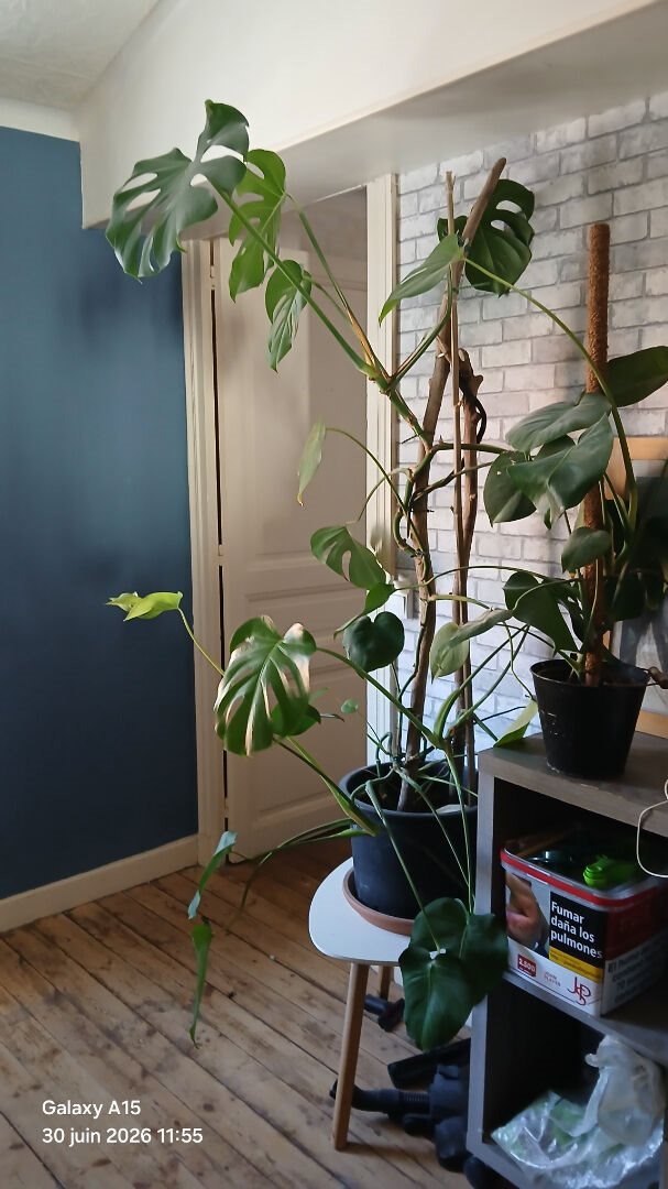 Appartement à louer, 72m², Saint-Jean-d'Angély