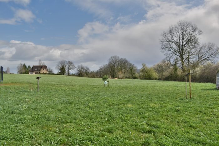 Maison à vendre, 170m², Beauregard-de-Terrasson