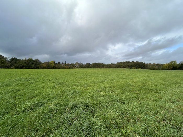 Maison à vendre, 3000m², Sadroc