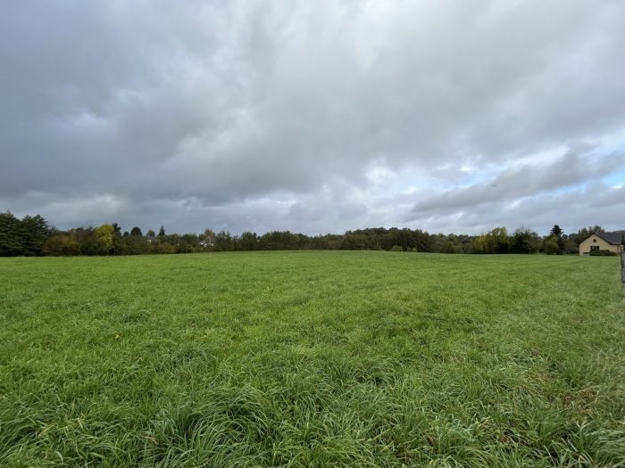 Maison à vendre, 3000m², Sadroc