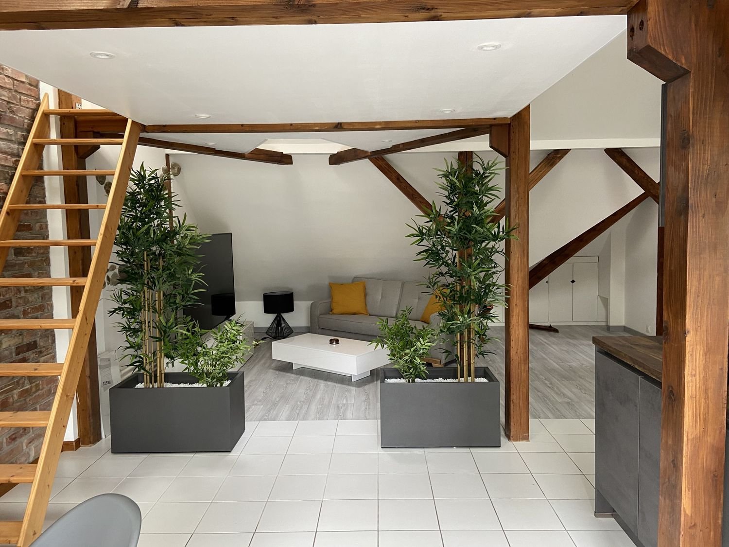 Appartement à louer, 56m², Mulhouse