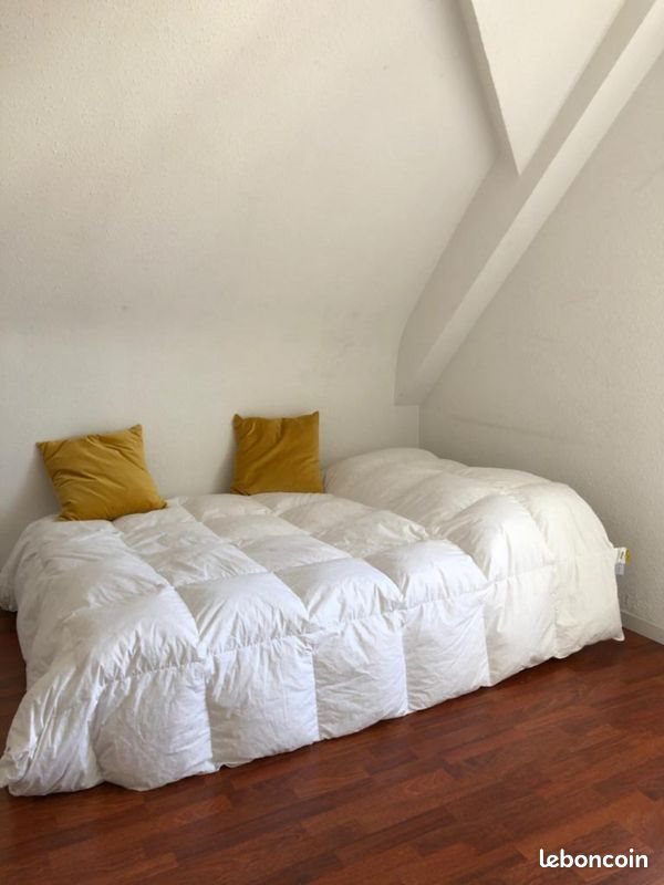 Appartement à louer, 48m², Mulhouse