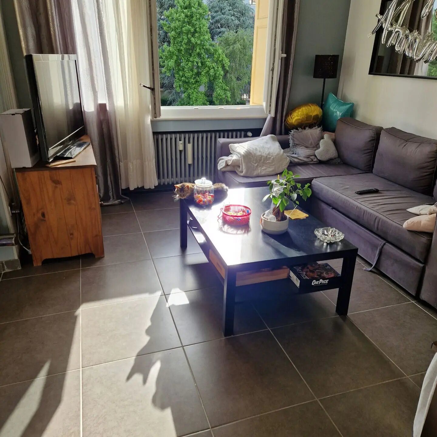 Appartement à louer, 60m², Saint-Etienne