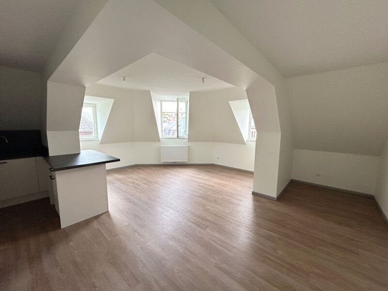 Appartement à louer, 46m², Strasbourg