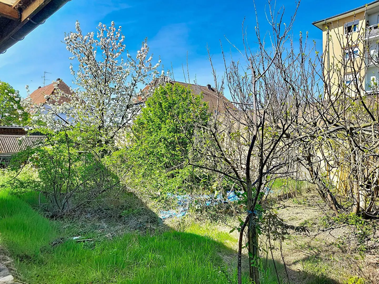 Maison à vendre, 134m², Strasbourg