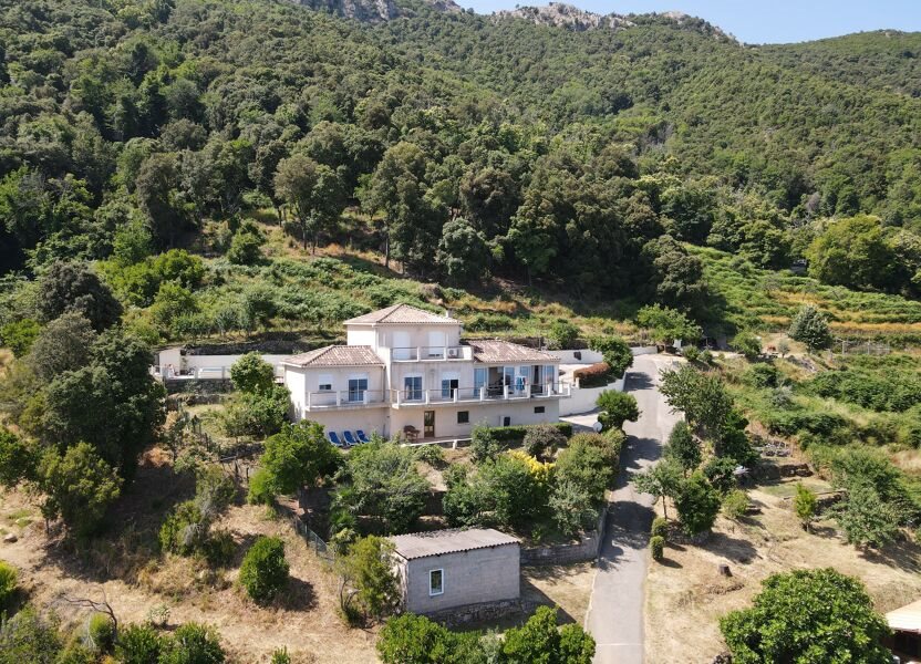 Maison à vendre, 300m², Calcatoggio