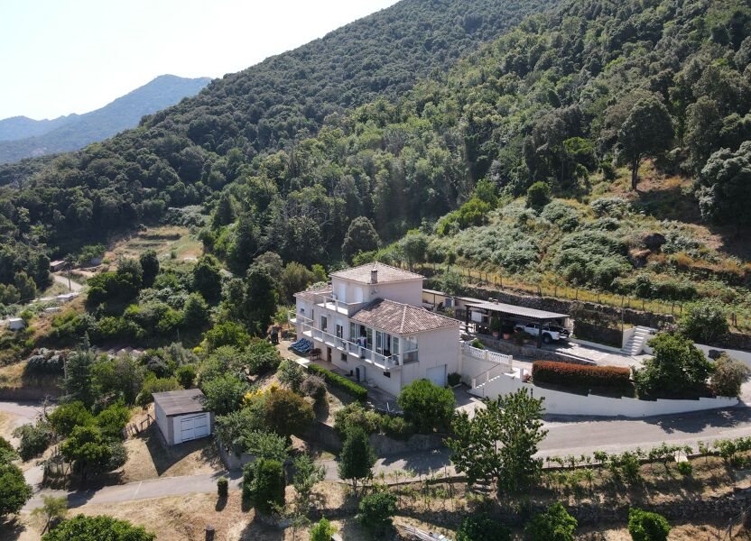 Maison à vendre, 300m², Calcatoggio