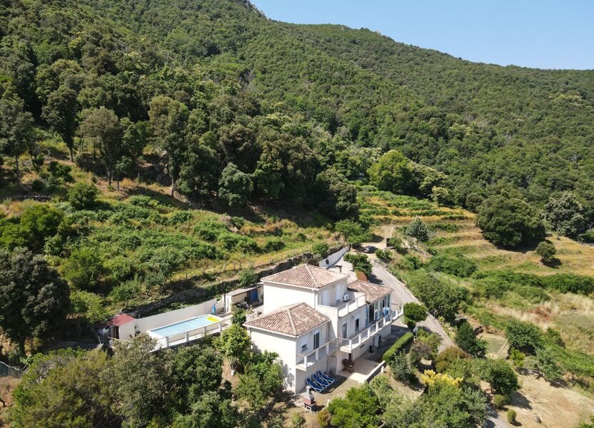 Maison à vendre, 300m², Calcatoggio