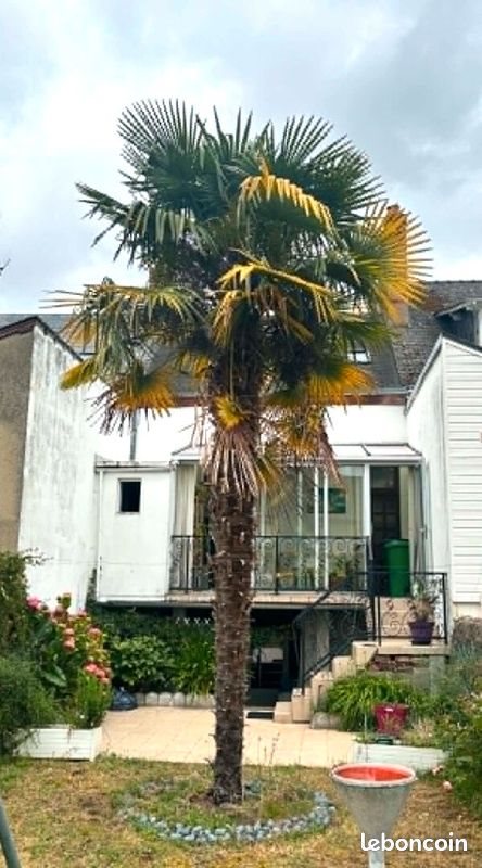 Maison à vendre, 93m², Le Mans