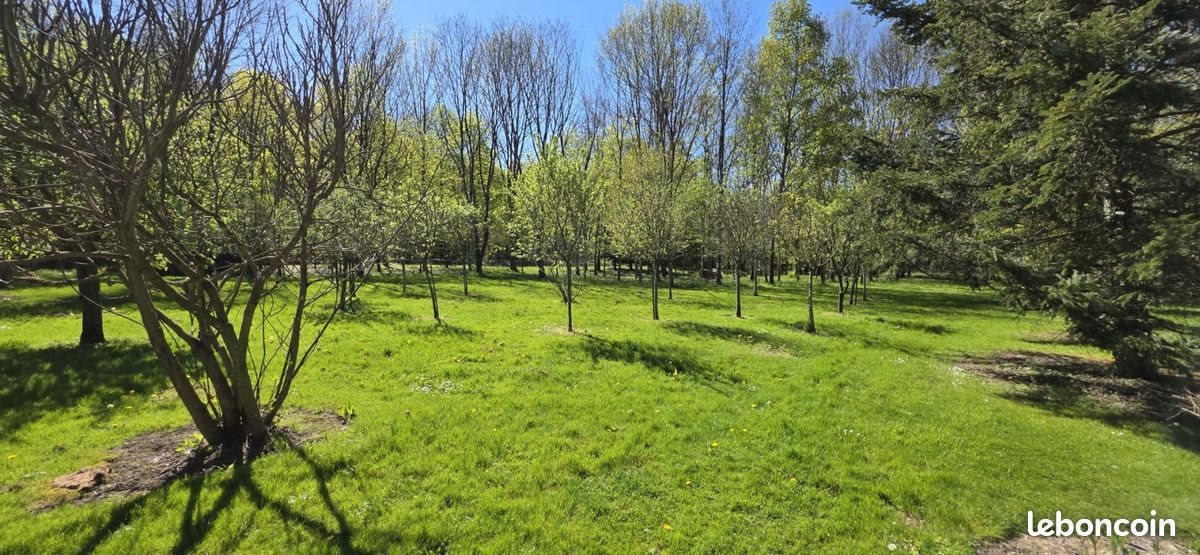 Maison à vendre, 205m², Chailly-en-Gâtinais