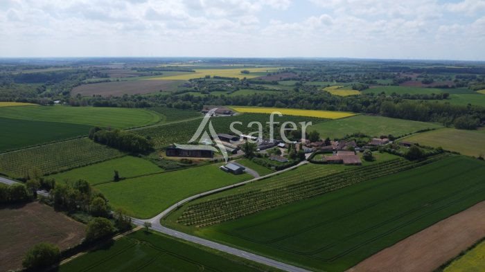 Maison à vendre, 190m², Montmorillon