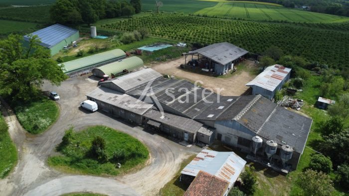Maison à vendre, 190m², Montmorillon