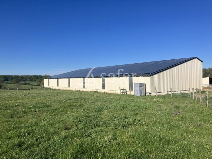 Maison à vendre, 147m², Cheillé