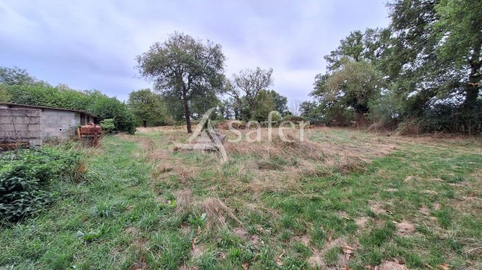 Maison à vendre, 230m², La Guerche-sur-l'Aubois