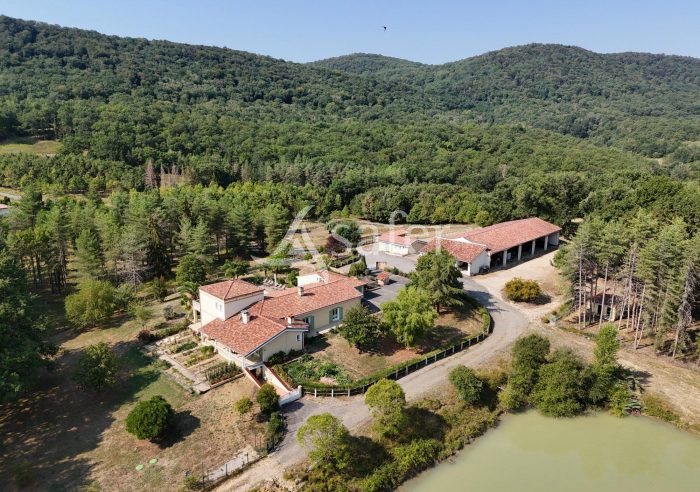 Maison à vendre, 425m², Saint-Gaudens