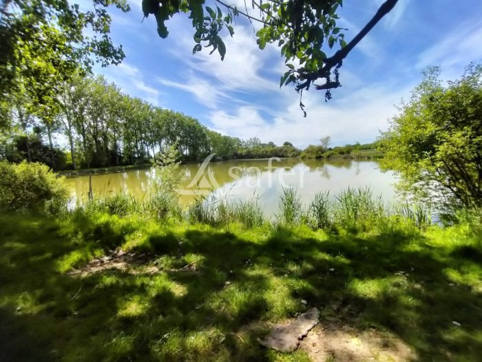 Maison à vendre, 126m², Loiré