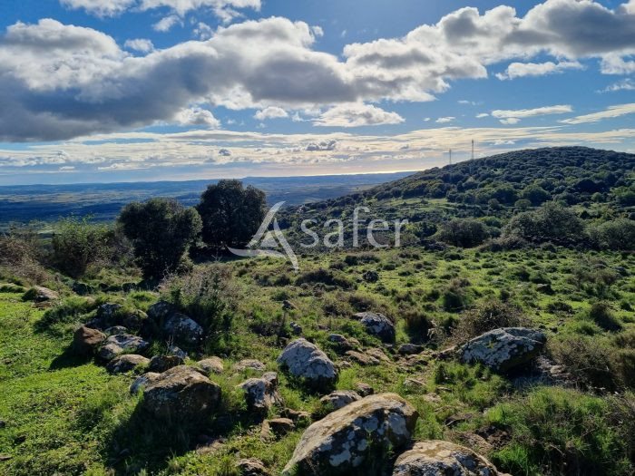 Maison à vendre, 120m², Pézenas
