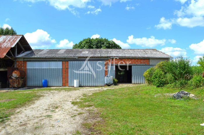 Maison à vendre, 210m², Bourg-de-Visa