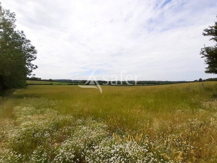 Maison à vendre, 195m², Archigny