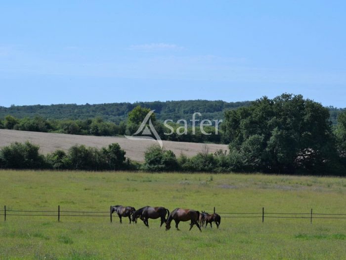 Maison à vendre, 195m², Archigny