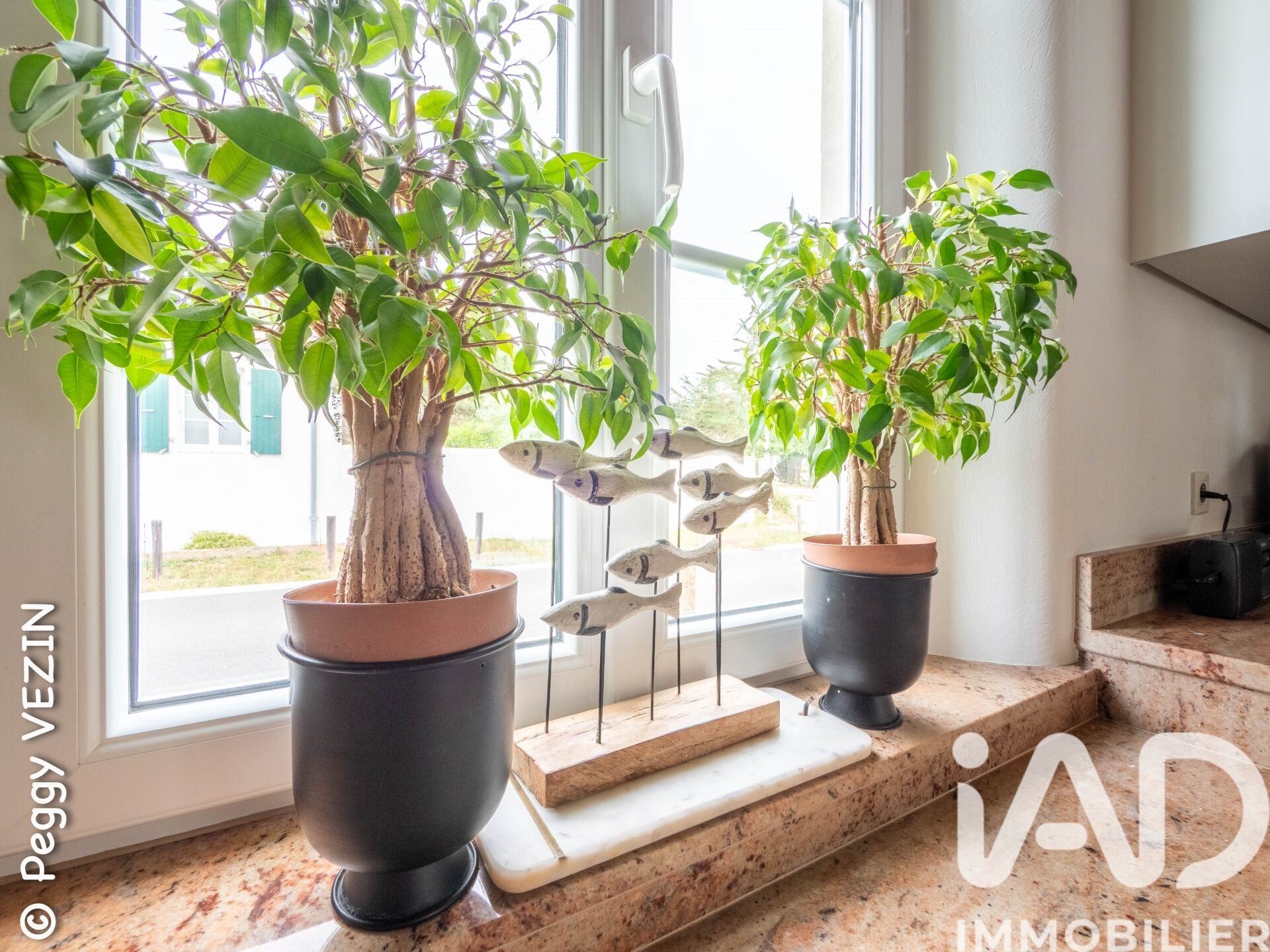 Maison à vendre, 160m², Rivedoux-Plage