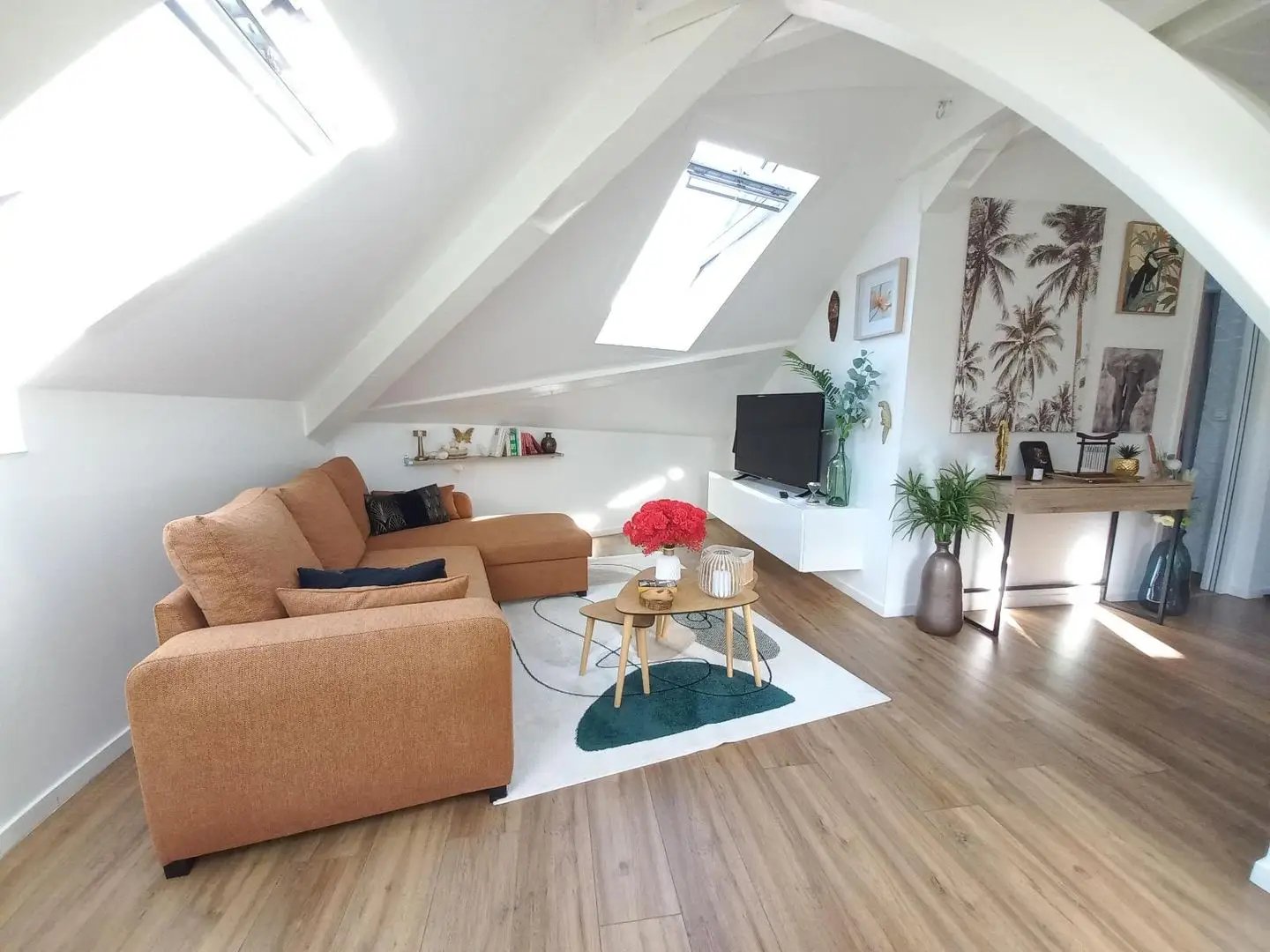Appartement à louer, 47m², Millau
