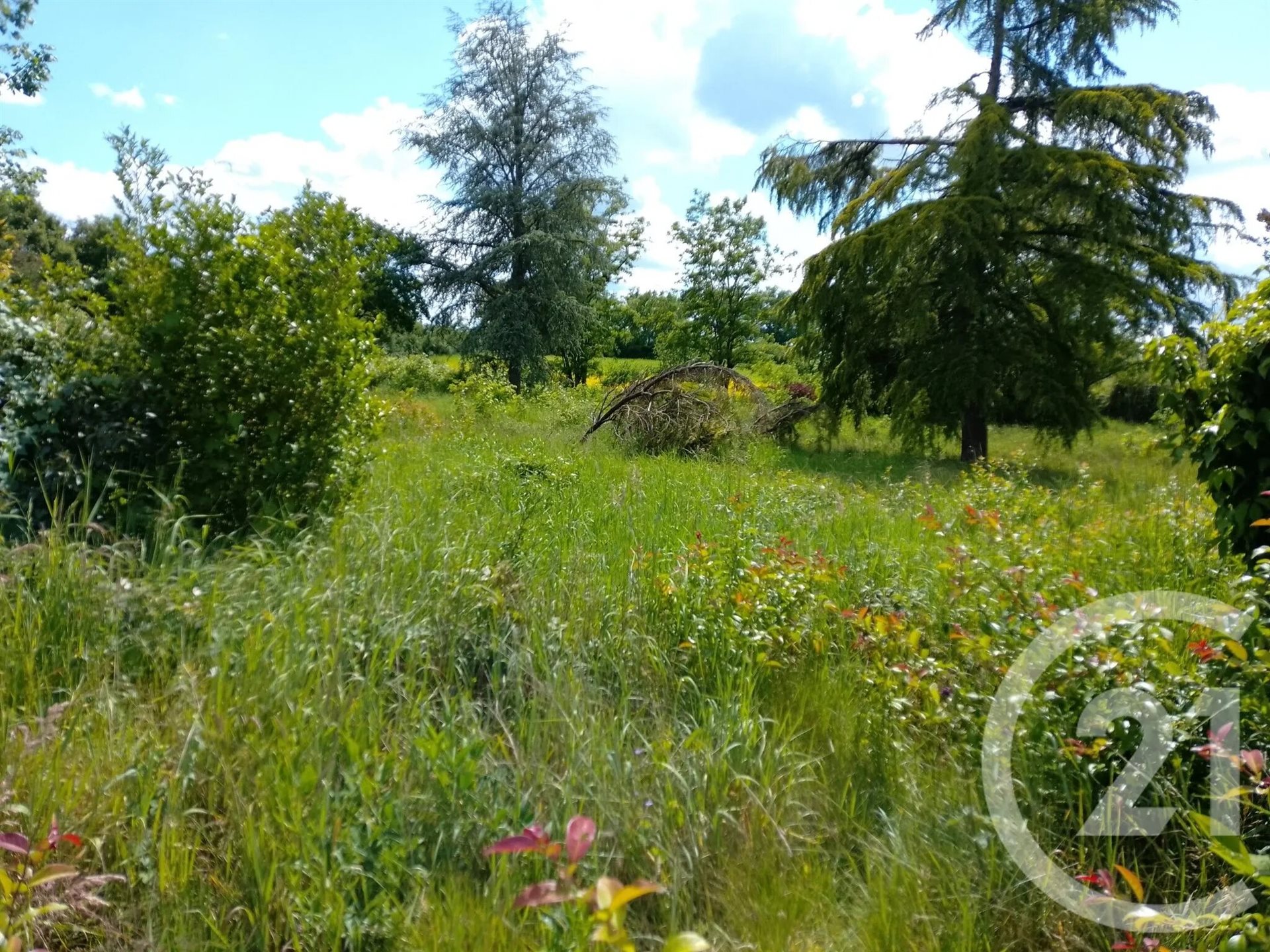 Maison à vendre, 87m², Lurcy-Lévis