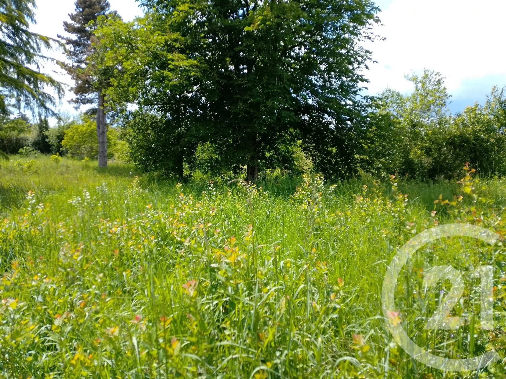 Maison à vendre, 87m², Lurcy-Lévis
