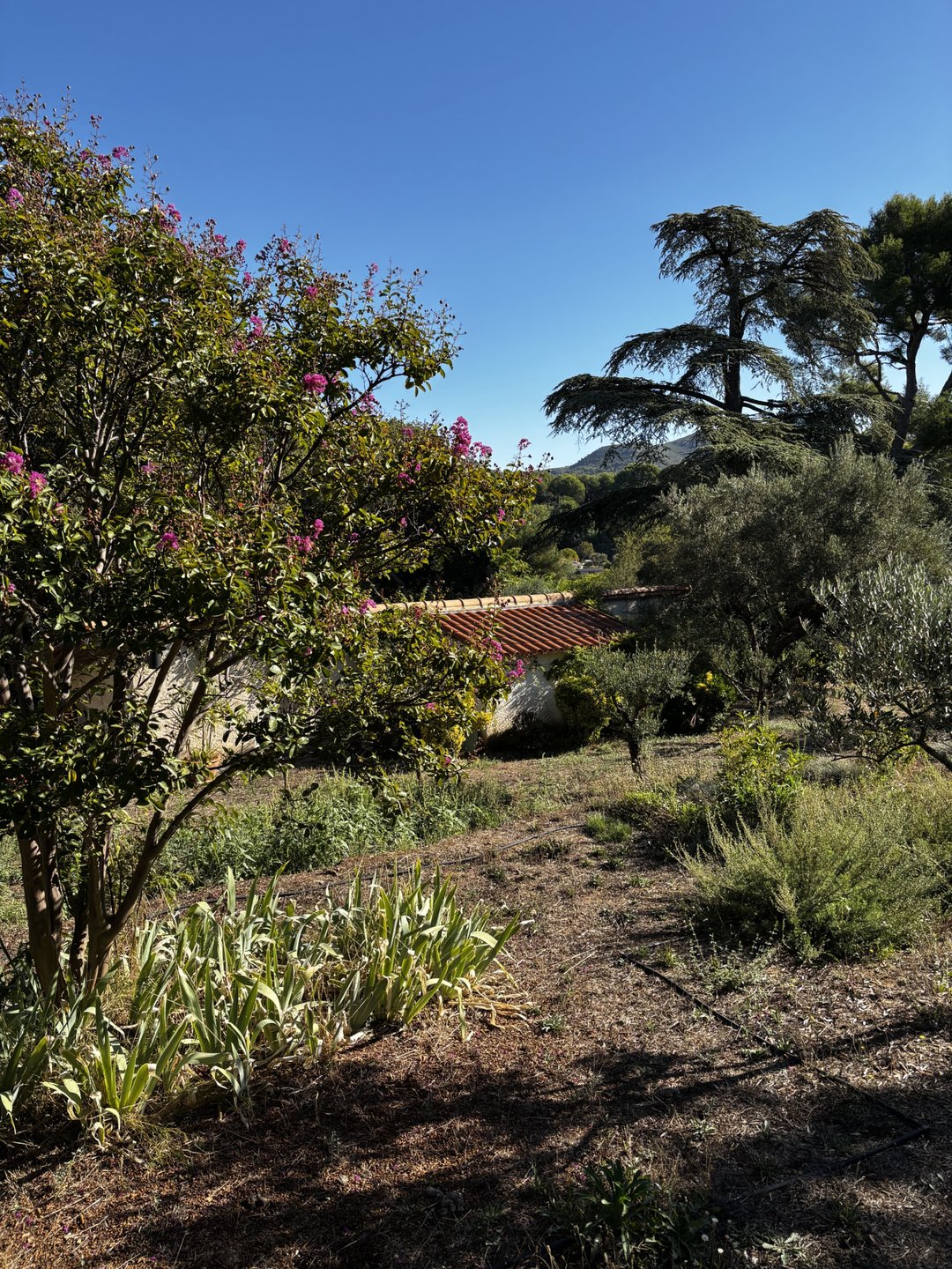 Maison à vendre, 120m², Allauch