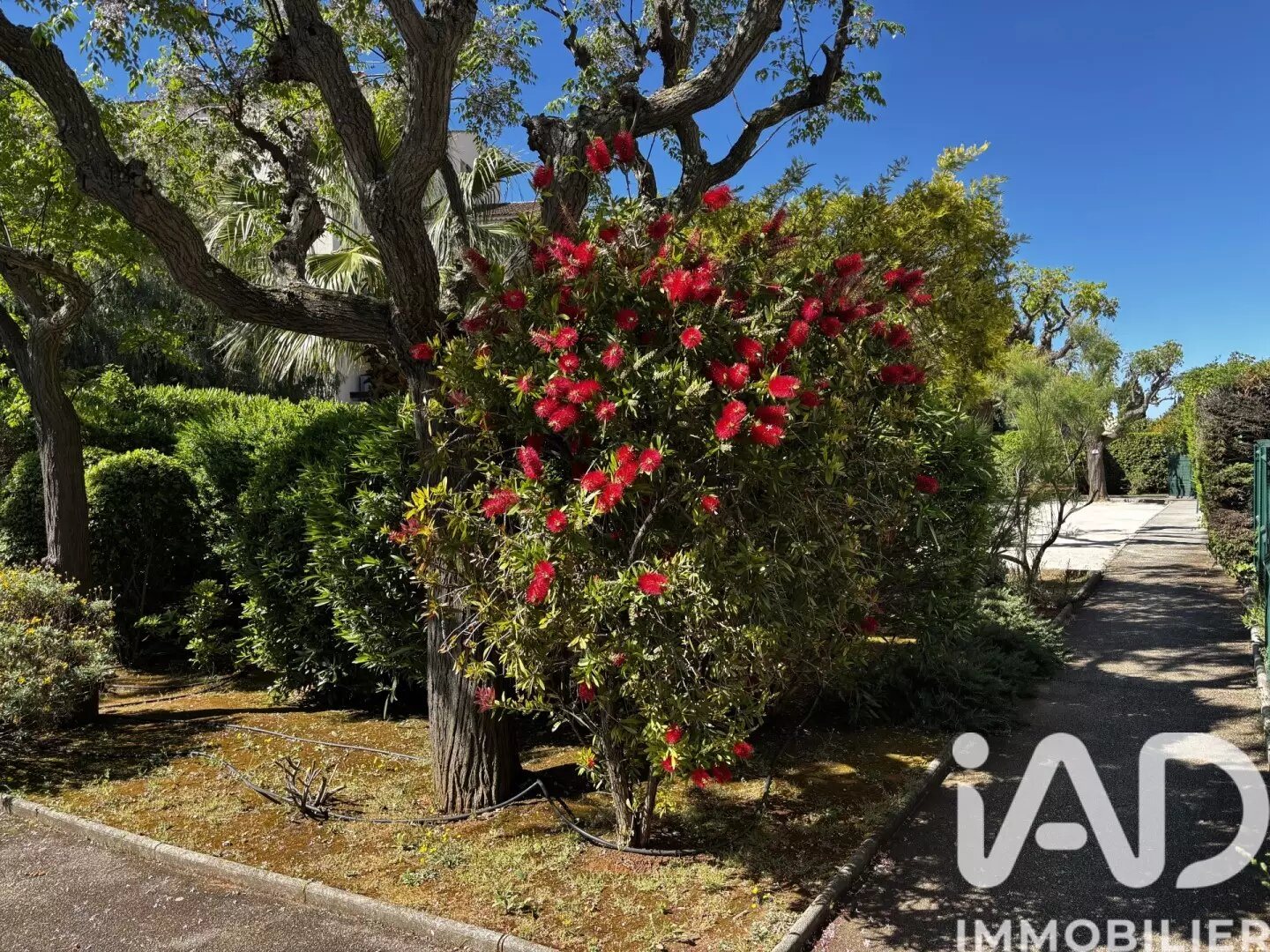Appartement à vendre, 35m², Sanary-sur-Mer