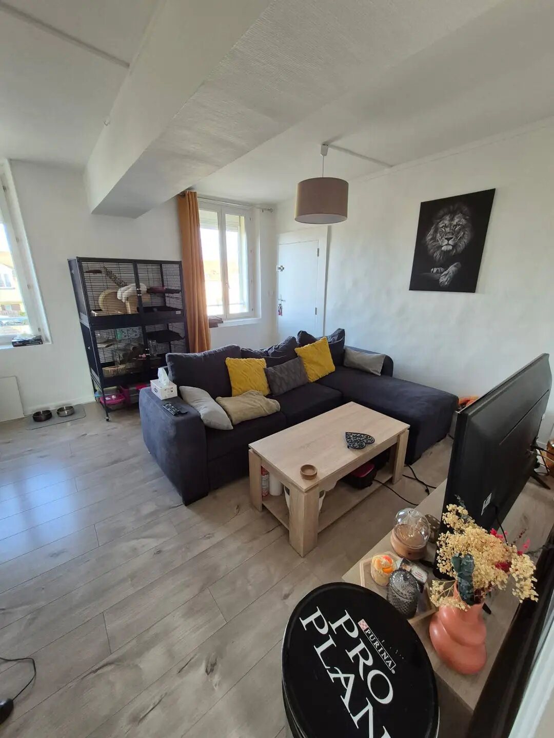 Appartement à louer, 34m², Isles-les-Meldeuses