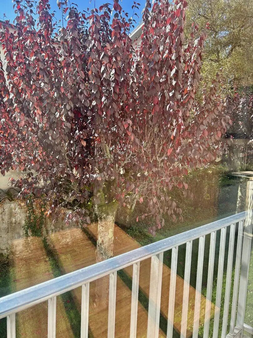 Appartement à louer, 29m², Aurillac