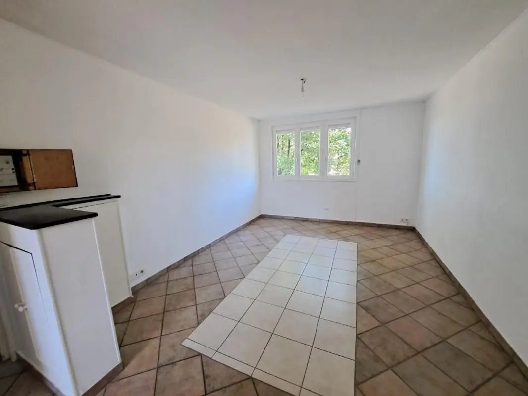 Appartement à louer, 50m², Beaurepaire
